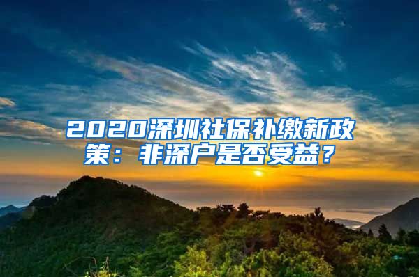 深圳社保补缴最新政策详解