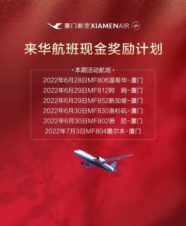 MF8159最新航班动态，高效便捷安全的航空之旅探索